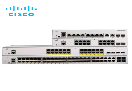 Catalyst 1000 Series